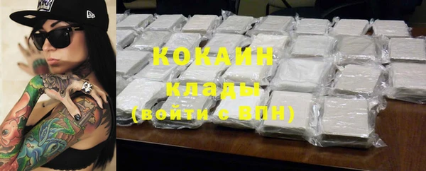 PSILOCYBIN Аркадак