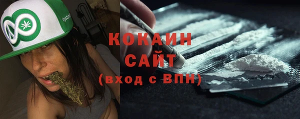 ГАЛЛЮЦИНОГЕННЫЕ ГРИБЫ Арсеньев