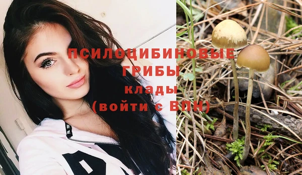 марки nbome Армянск