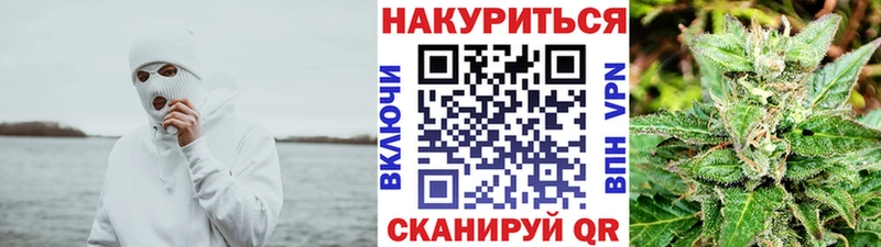 Бошки Шишки ГИДРОПОН  продажа наркотиков  нарко площадка официальный сайт  Усть-Джегута 